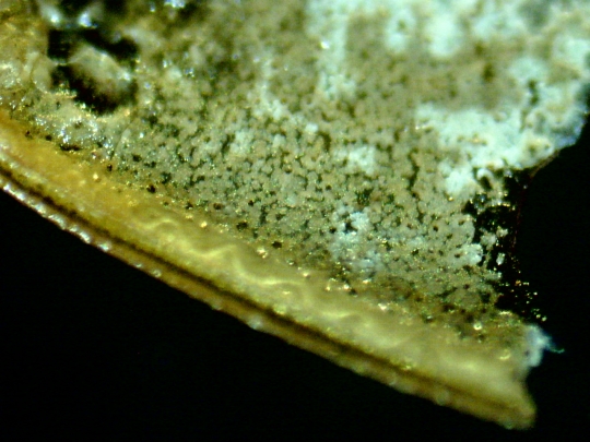 Gargarita